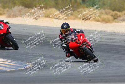 media/Apr-10-2022-SoCal Trackdays (Sun) [[f104b12566]]/Turn 10 (1pm)/